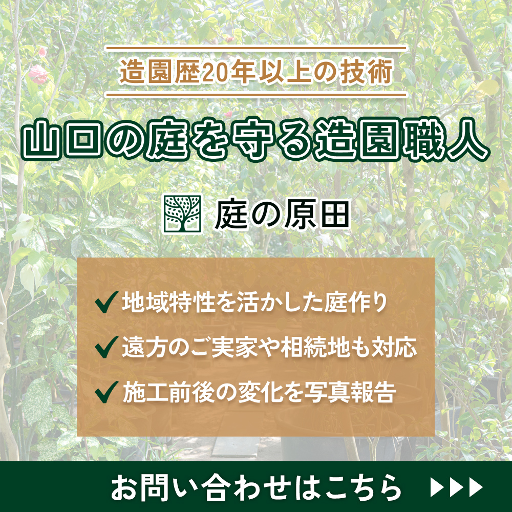 modal_banner